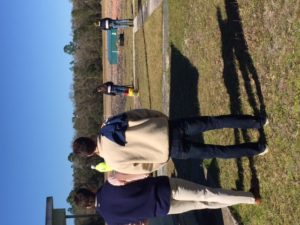 Red White and Pull (Florida 20160224)