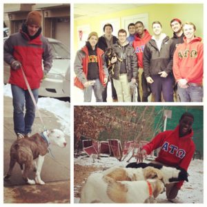 ATO continuing to volunteer at Animal Shelter (Temple 20160223)