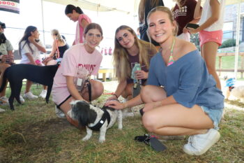 Paws and Taus Philanthropy
