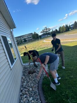 Landscaping help
