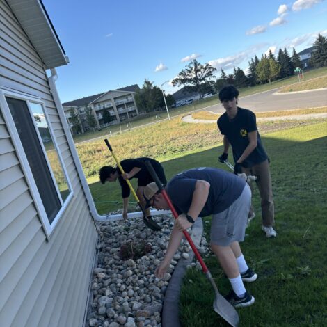 Landscaping help