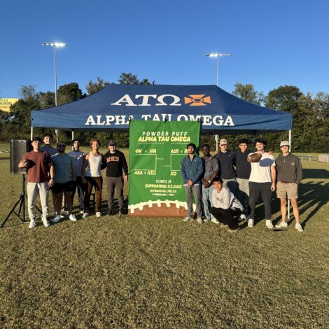 ATO powderpuff