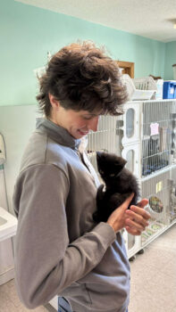 Animal Shelter help