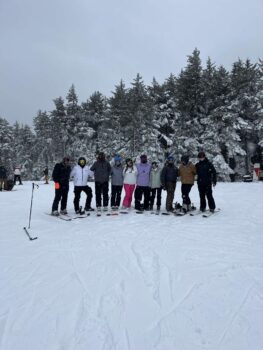 Taus at Timberline
