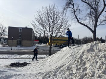 Putting the yard to use
