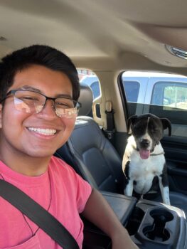 Adopt a dog for a day!