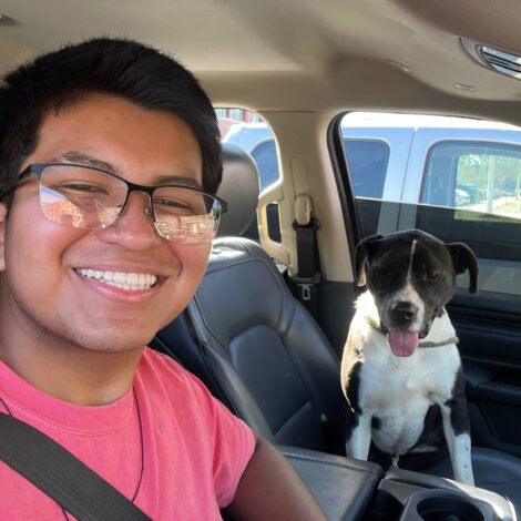 Adopt a dog for a day!