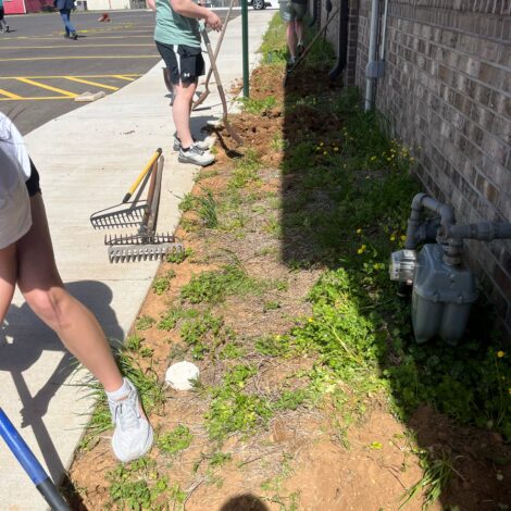 Volunteering in the Community!