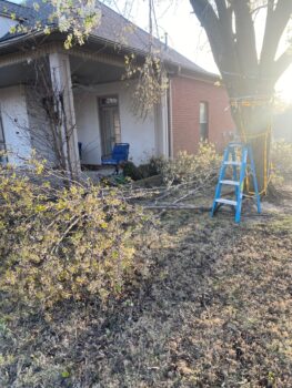 Big Storm Clean Up