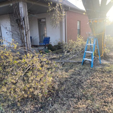 Big Storm Clean Up