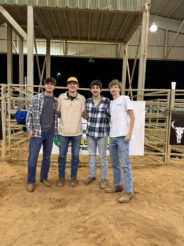 Pictures from Bull Bash