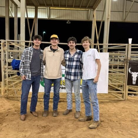 Pictures from Bull Bash