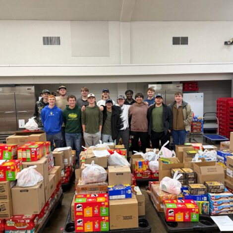 Helping RVF4K!