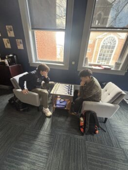 Brothers Play Chess
