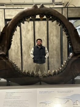 Adventures in Chicago