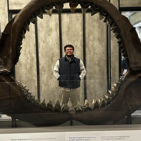 Adventures in Chicago