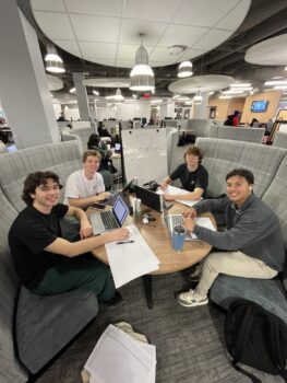 Brothers studying in the library