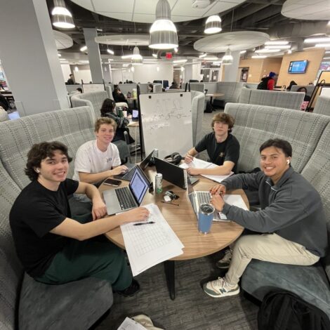 Brothers studying in the library