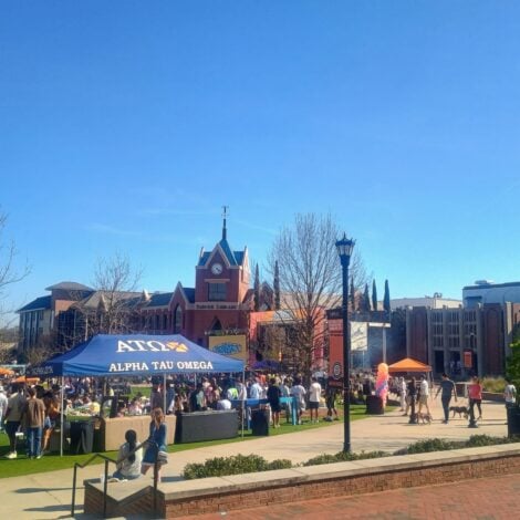 Tailgate at Mercer Bearstock