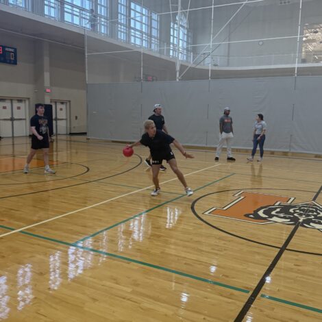 IM dodgeball game