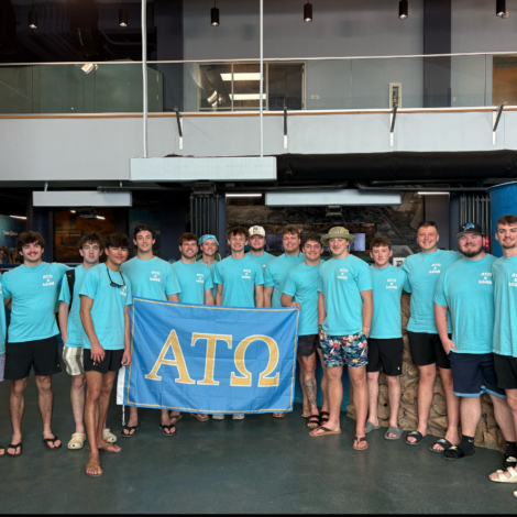 Brothers Complete Service with Sea Turtle Inc