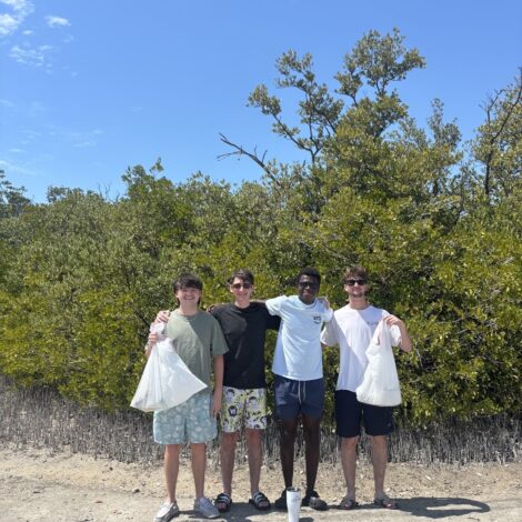 Beach Cleanup