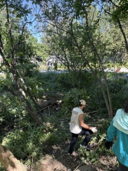 Trees Atlanta Volunteering