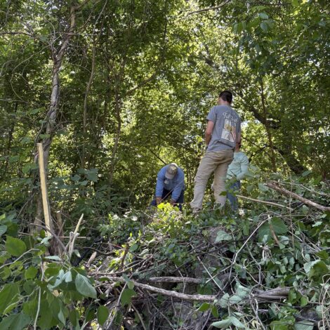 Trees Atlanta Volunteering